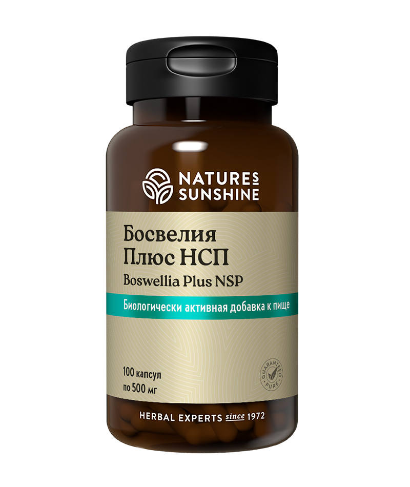 Босвелия Плюс