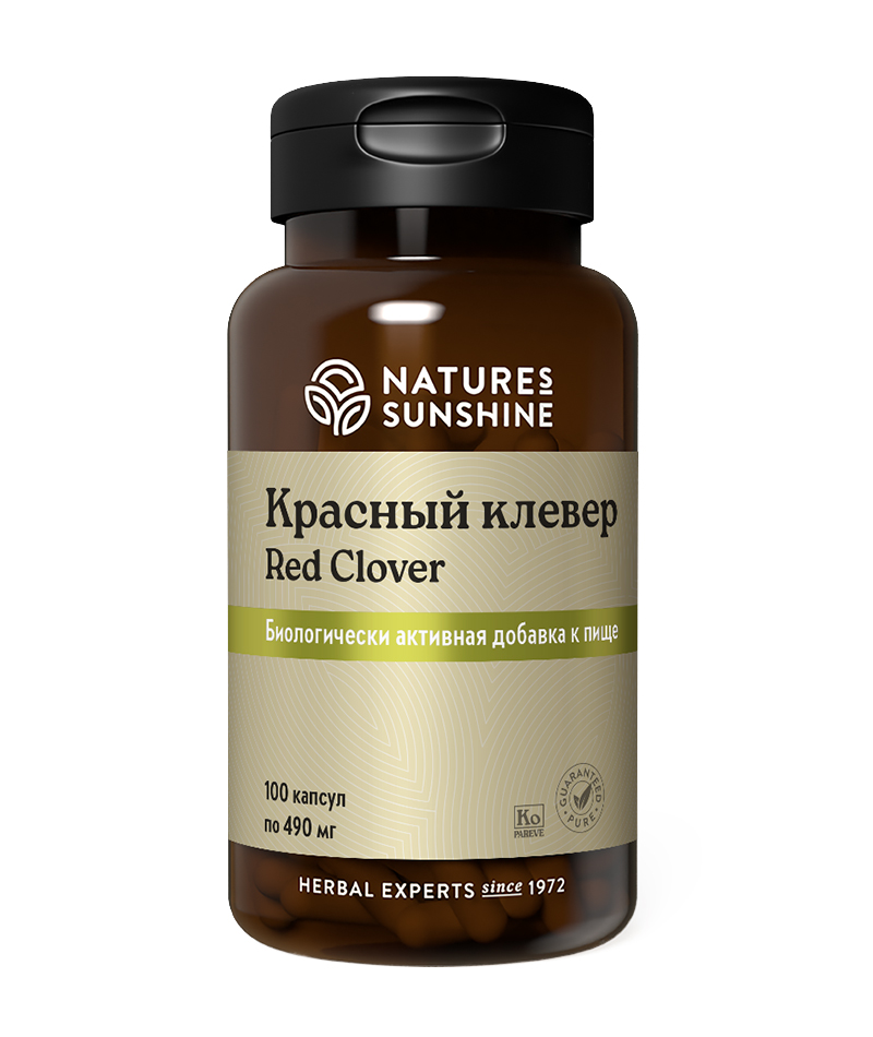 Красный клевер
